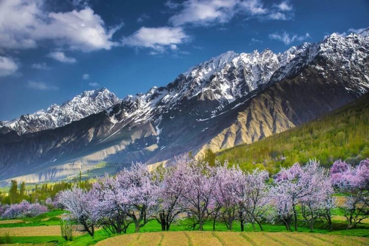 Skardu Travel and Tour: Your Gateway to Adventure